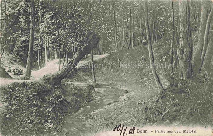 BONN Rhein Partie aus dem Melbtal