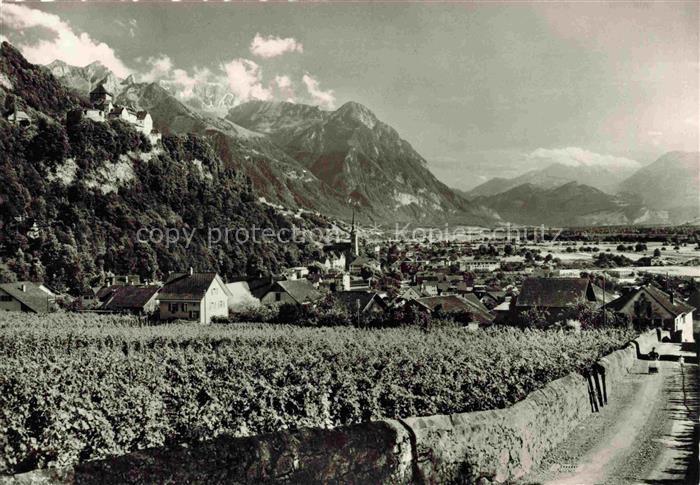 Vaduz Liechtenstein FL Panorama mit Schloss Vaduz