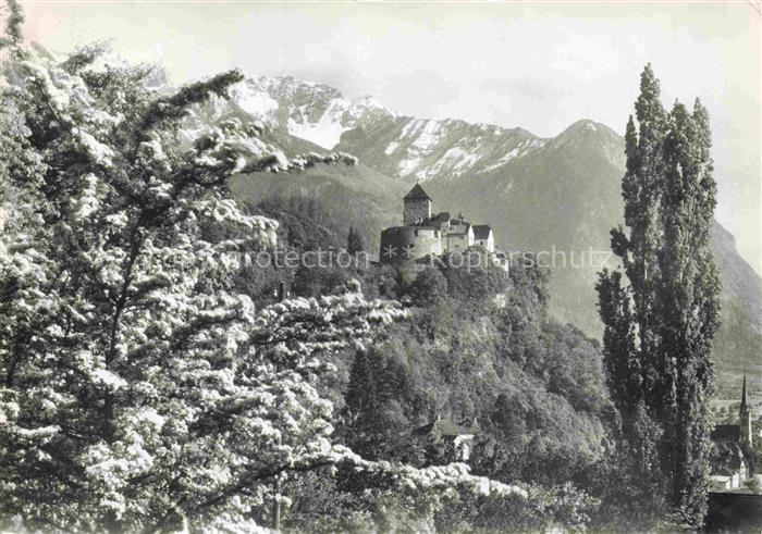 Vaduz Liechtenstein FL Schloss Vaduz mit Falknis