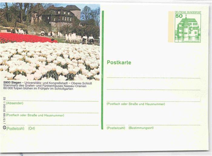 SIEGEN  Westfalen NRW Oberes Schloss Tulpen im Fruehjahr im Schlossgarten