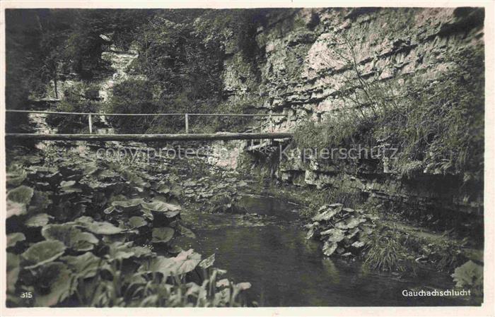 Gauchachschlucht Doeggingen Braeunlingen BW Bruecke ueber die Gauchach