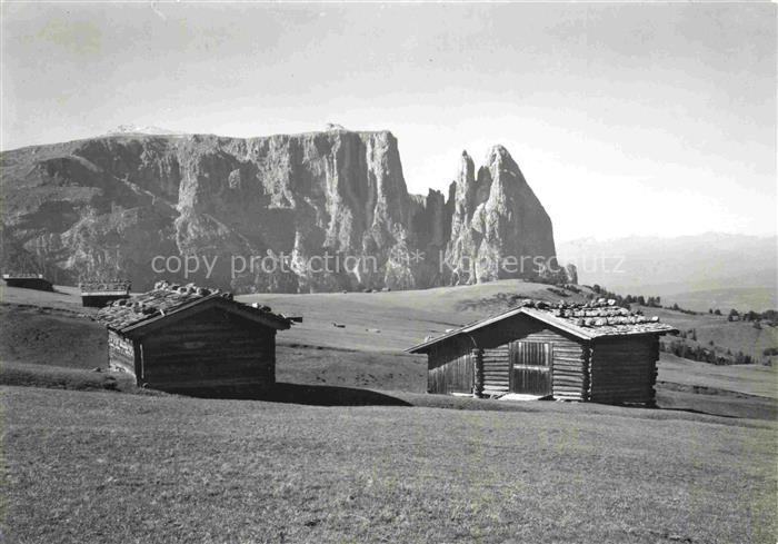 Seiseralm  Seiseralpe Alpe di Siusi Trentino IT am Schlern