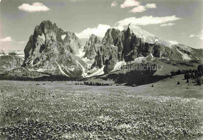 Seiseralm  Seiseralpe Alpe di Siusi Trentino IT Langkofel