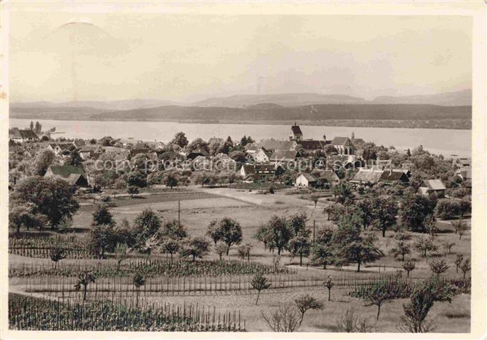 Insel Reichenau Bodensee Blick auf Mittenzell und Gnadensee