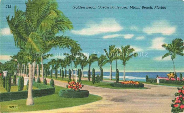 Miami Beach Florida USA Golden Beach Ocean Boulevard Illustration