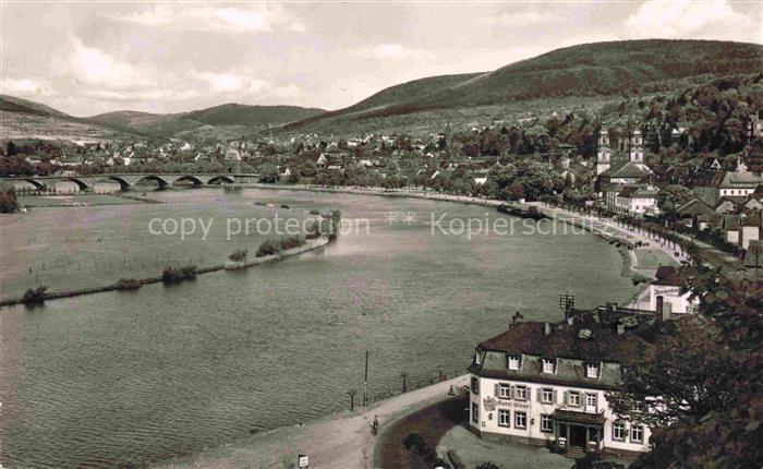 MILTENBERG Main Panorama Suedlichste Mainschleife