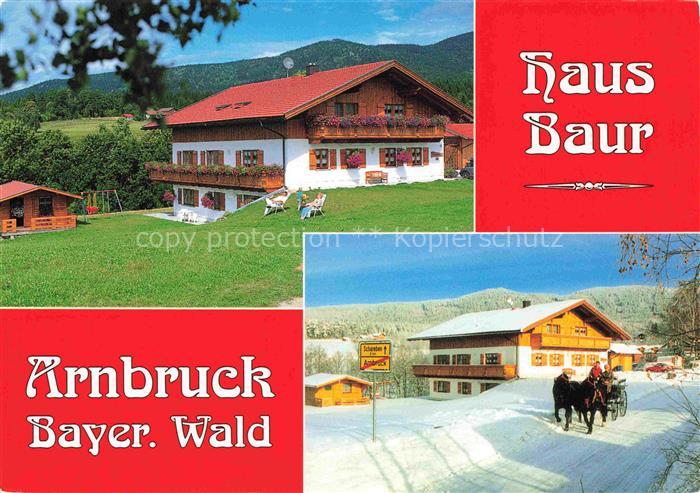 Arnbruck REGEN Bayern Haus Baur Pferdekutsche