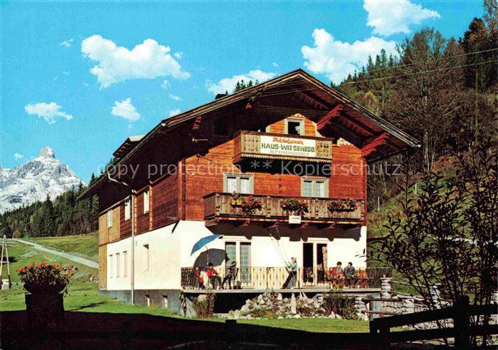 Filzmoos Pinzgau-Pongau AT Pension Haus Wiesenegg mit Bischofsmuetze