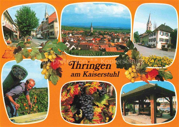 Ihringen Kaiserstuhl BW Stadtpanorama Strassenpartie Weinlese Weintrauben