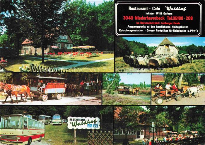 Niederhaverbeck Bispingen Soltau-Fallingbostel Niedersachsen Restaurant Café Wal