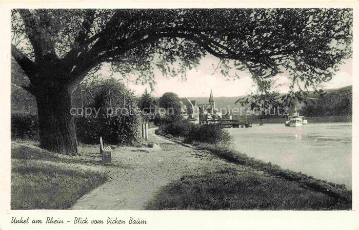 Unkel Rhein Uferpromenade Blick vom Dicken Baum