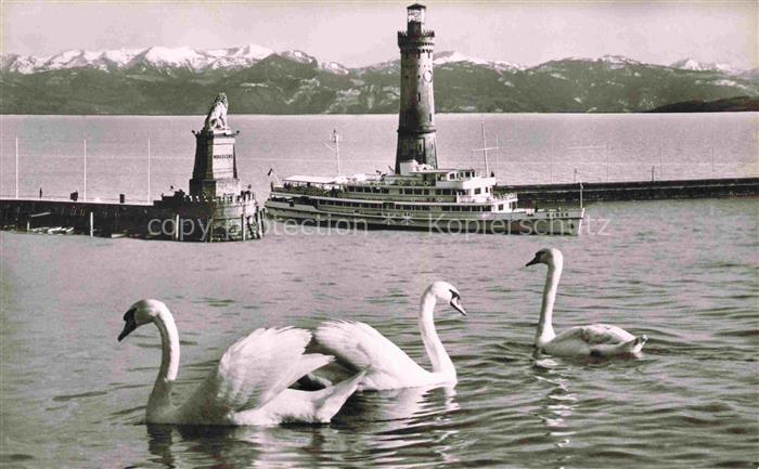 Dampfer Binnenschifffahrt Lindau Bodensee Hafenpartie Schwan Leuchtturm