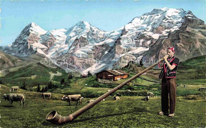 Alphorn Cor des Alpes-- Blaeser Kuehe Photoglon Nr. 51