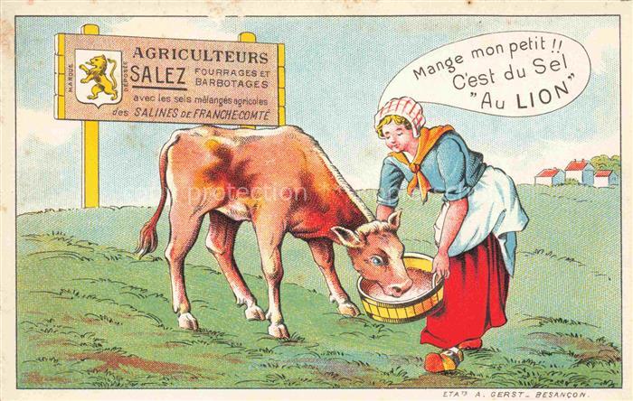 Landwirtschaft Agriculturo Agriculture-- Salez Lion Kuh