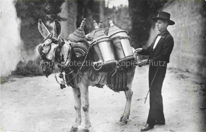 Esel Donkey Ane Burro Asno Asino-- Granada Aguador Tipioo