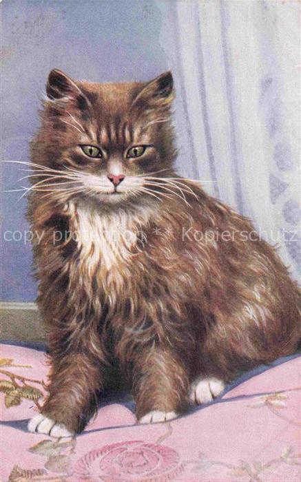 KATZEN Cats Chats Gatos Gatti-- Salmon Series Nr. 3388
