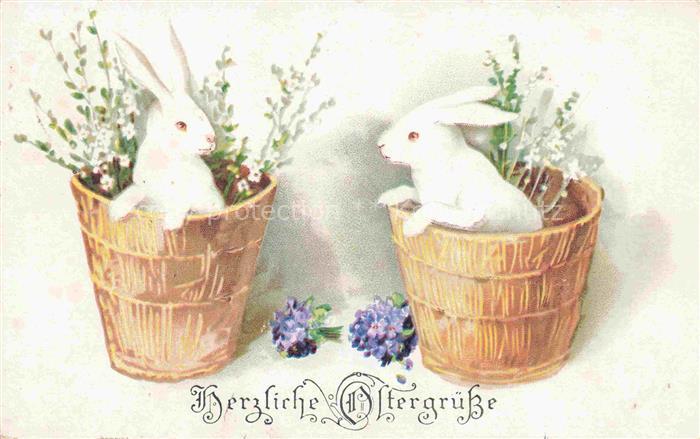 Ostern Easter Paques Pasqua-- Hasen