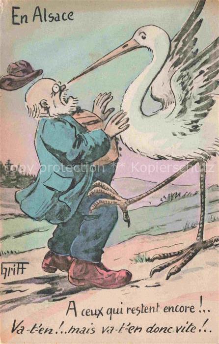 Storch Stork Cigogne Ciguena-- En Alsace