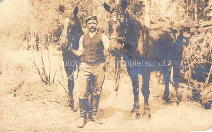 PFERDE Horses Cheval