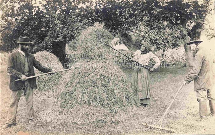 Landwirtschaft Agriculturo Agriculture-- Heu