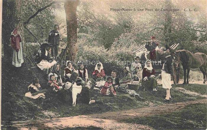 PFERDE Horses Cheval Picknick Noce Campagne