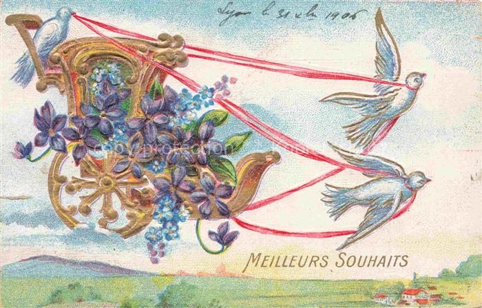 Tauben Pigeons Palomas-- Litho Meilleurs Souhaits Blumen Kutsche