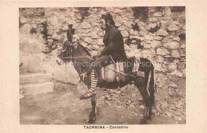 Esel Donkey Ane Burro Asno Asino-- Taormina Contadino
