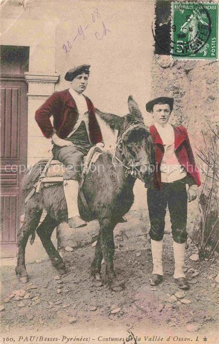 Esel Donkey Ane Burro Asno Asino-- Pau Costumes Vallee Ossan