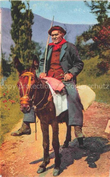 Esel Donkey Ane Burro Asno Asino-- Types Pyreneens Montagnard