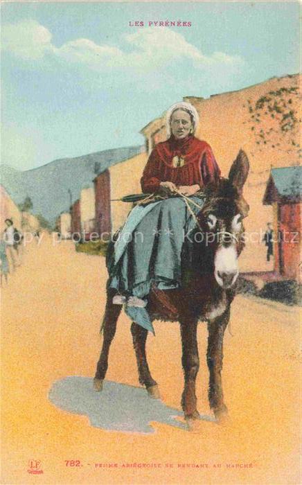 Esel Donkey Ane Burro Asno Asino-- Les Pyrenees Tracht