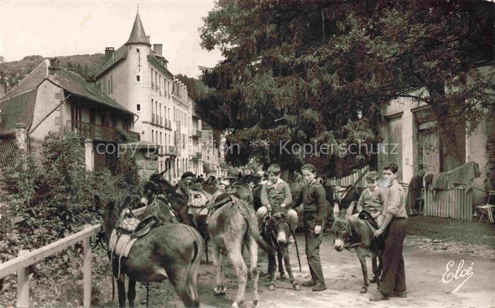 Esel Donkey Ane Burro Asno Asino-- La Bourboule Les petis Anes