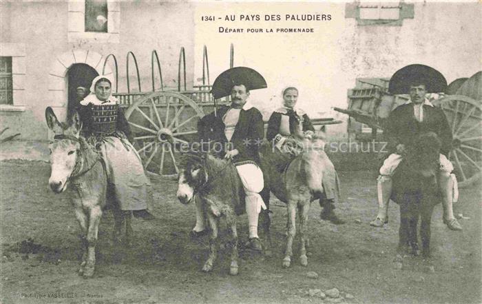 Esel Donkey Ane Burro Asno Asino-- Oays des Paludiers