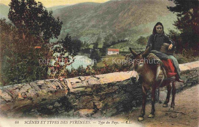 Esel Donkey Ane Burro Asno Asino-- Scanes et Types des Pyrenees Type du Pays