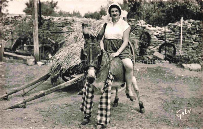 Esel Donkey Ane Burro Asno Asino-- Ile de Re Ane a culotte