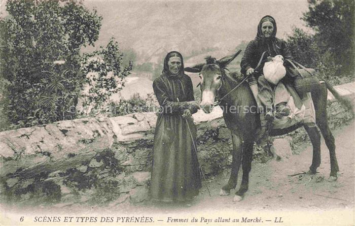 Esel Donkey Ane Burro Asno Asino-- Scenes et Types des Pyrenees