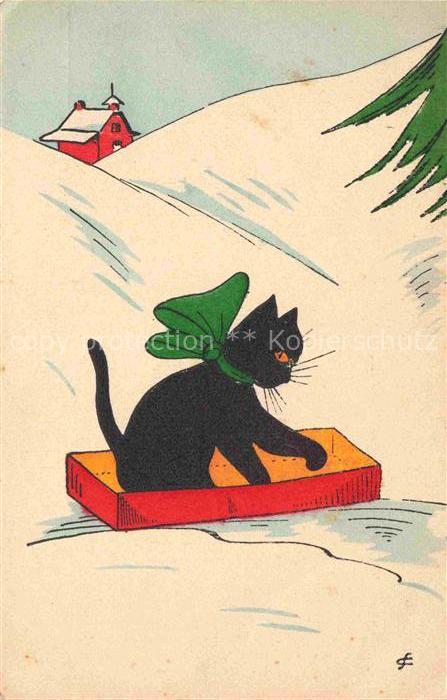 KATZEN Cats Chats Gatos Gatti-- Vendu profit des Missions