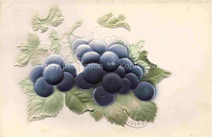 Wein Wine Vin Vino-- Trauben Blau