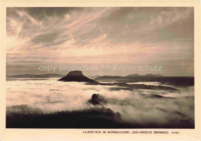 Foto Hering Nr. 2965 Lilienstein im Morgennebel saech. Schweiz