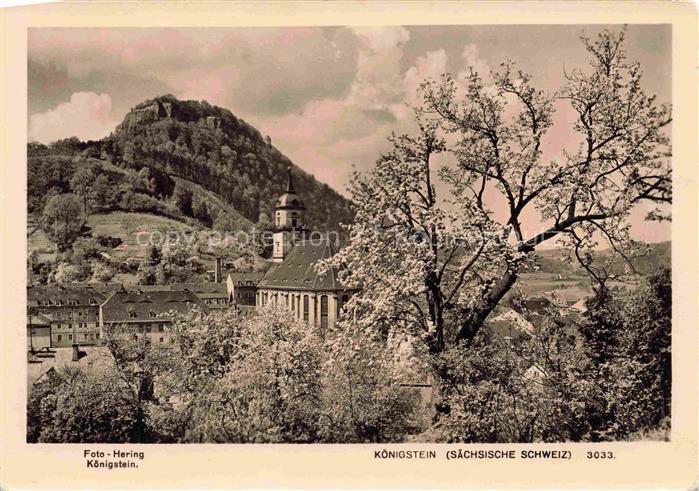 Foto Hering Nr. 3033Koenigstein