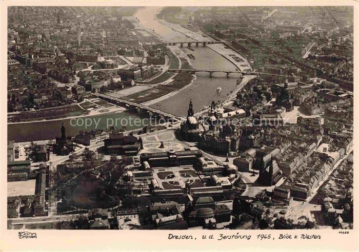 Foto Hahn Nr. 10255 Dresden v.d. Zerstoerung
