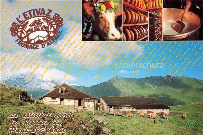Kaese Kaeserei Cheese Fromage Queso L Etivaz Alpes vaudoises Altitude Kuhstall K