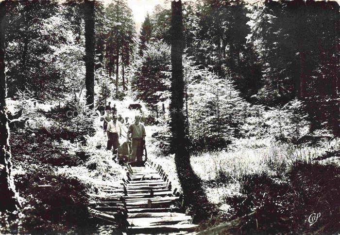 Forstwirtschaft Forestry Bucherons Sylviculture Silvicultura-- Vosges
