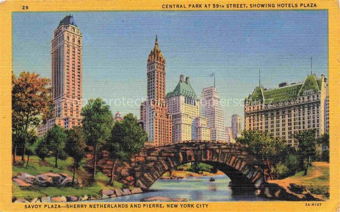 NEW YORK City USA Savoy Plaza Sherry Netherlands and Pierre Central Park Hotels