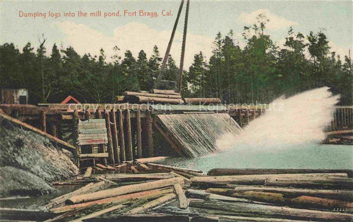 Fort Bragg California USA Dumping logs into the mill pond