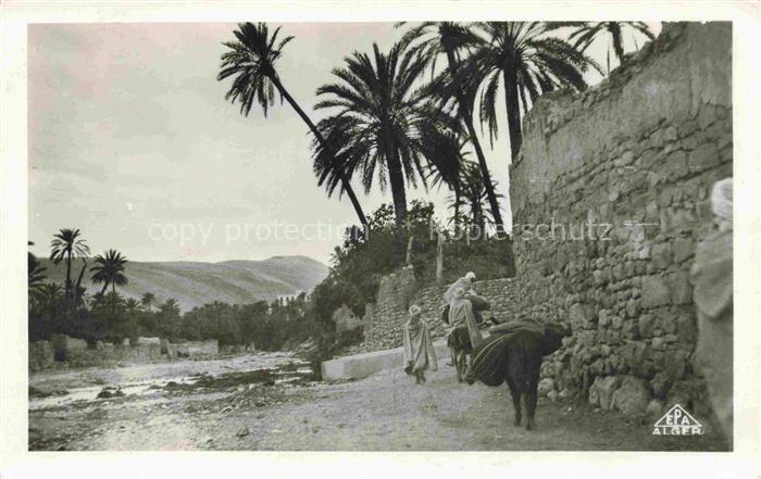 Bou-Saada Algerie Dans l'Oued