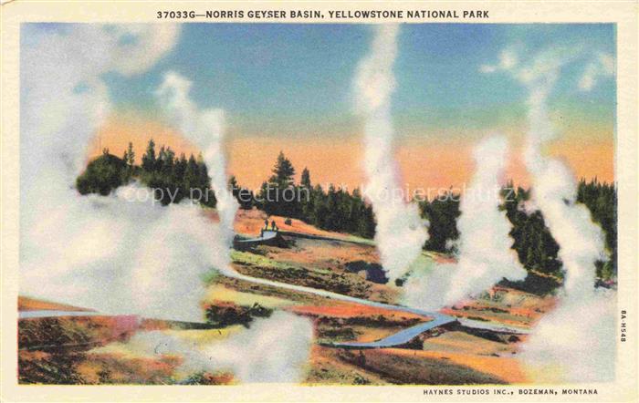Yellowstone National Park Wyoming USA Norris Geyser Basin