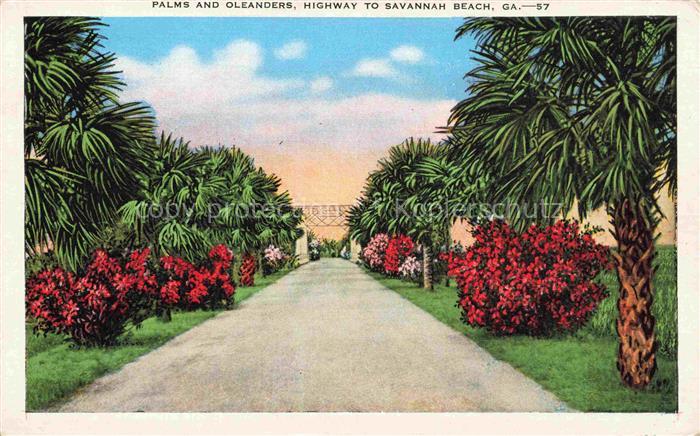 Savannah Beach Tybee Island Georgia USA Palms and Oleanders Illustration