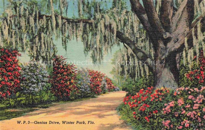 Winter Park Florida USA Genius Drive Illustration