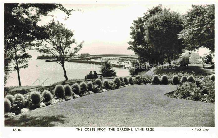 Lyme  Regis Dorset UK The Cobbe from the Gardens
