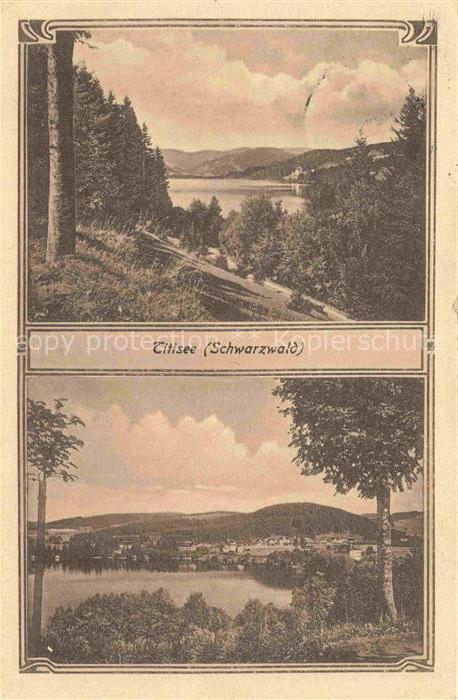 TITISEE Schwarzwald BW Panorama Waldpartie